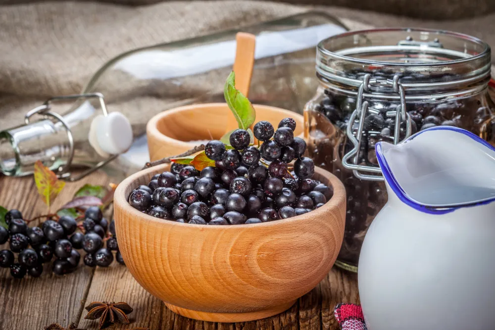 Aronia - zdrowotne właściwości, zbiór i korzyści picia soku